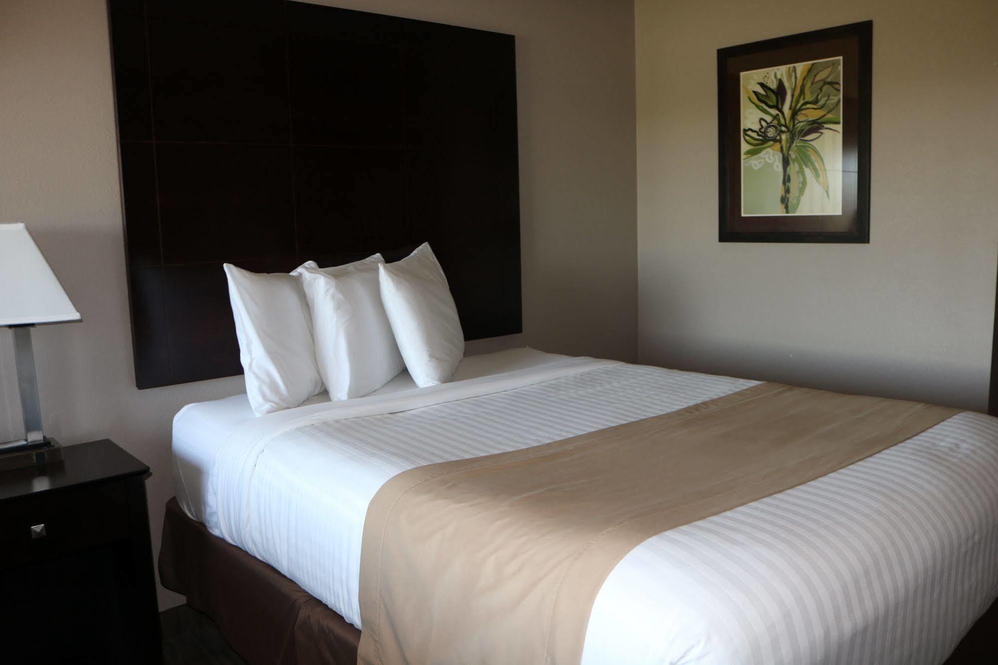 Qube Hotel - Polk City Dış mekan fotoğraf
